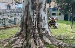 VENAFRO, Atti osceni, villetta, scatto, virale, web