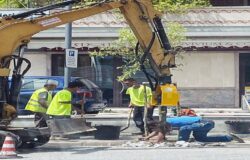verde pubblico isernia
