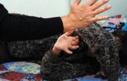 violenza domestica, Squadra mobile, misura cautelare