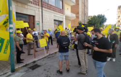 COLDIRETTI, città, campagne, branchi, cinghiali, pandemia