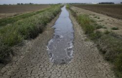 Carenza risorse idriche