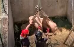 Cervo, Vigili del Fuoco