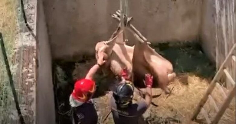 Cervo, Vigili del Fuoco