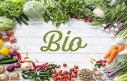 Agricoltura sostenibile, Coldiretti Molise, produzioni bio (2)