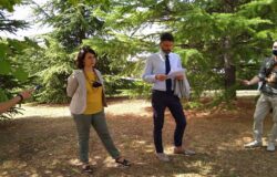 Campobasso Summer Festival, programma