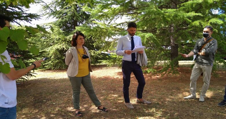 Campobasso Summer Festival, programma