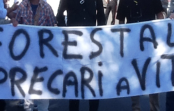 protesta forestali
