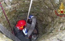 Vitello, pozzo, Vigili del Fuoco
