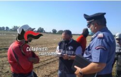 “Caporalato”, Carabinieri, aziende agricole