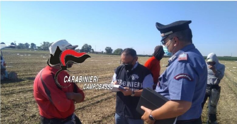 “Caporalato”, Carabinieri, aziende agricole