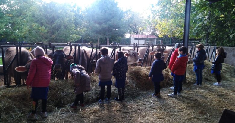“Lo sviluppo sostenibile e l’educazione alimentare”, Coldiretti Donne Impresa, bambini, terra, cibo genuino