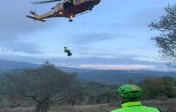 Cade da albero, raccoglie olive, donna, eliambulanza