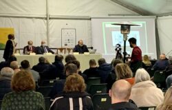 Oliviadi, olio, Toma, Molise