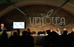 VENAFRO, Venolea, evento, olio