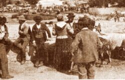 VENAFRO, fiera, Cuncètta