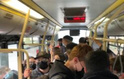bus Isernia