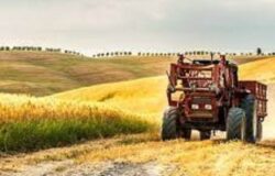 coltivatori diretti, coloni e mezzadri