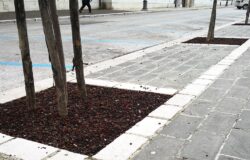 AMBIENTE, Verde, Campobasso, aiuole