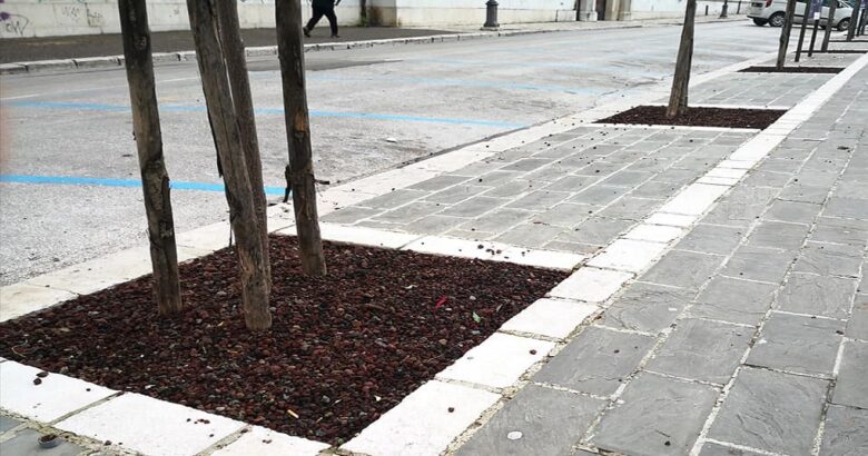 AMBIENTE, Verde, Campobasso, aiuole