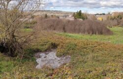 CAMPOBASSO, rottura, ostruzione, rete fognaria, Pd