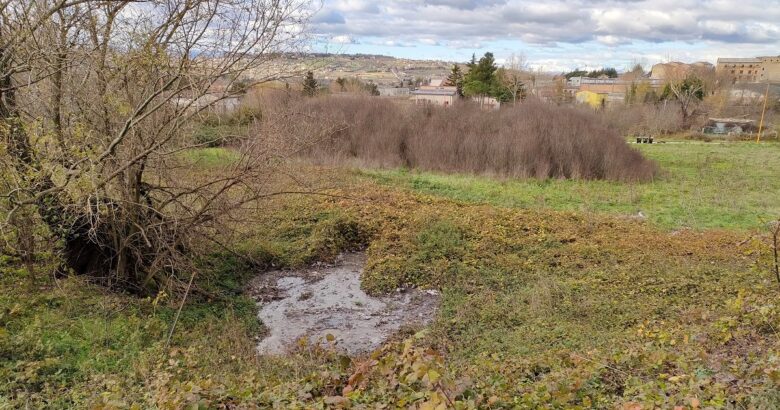 CAMPOBASSO, rottura, ostruzione, rete fognaria, Pd