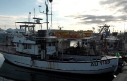 COLDIRETTI, Molise, Caro gasolio, pescherecci, marittimi