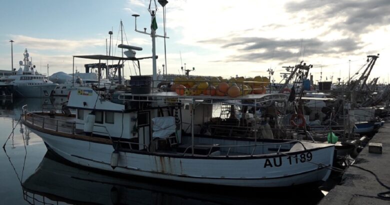 COLDIRETTI, Molise, Caro gasolio, pescherecci, marittimi