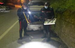 Marito e moglie, furto, villa, arrestati, Carabinieri