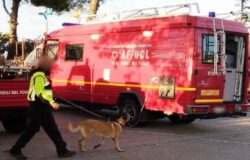 anziano scomparso, ricerche in corso