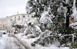 scuole chiuse, Campobasso