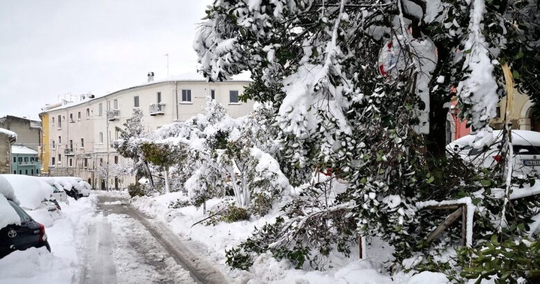 scuole chiuse, Campobasso