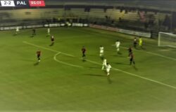 serie C, Campobasso, Palermo