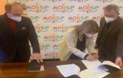 BENI CULTURALI, assessore Cotugno, direttore Rinaldi