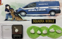Termoli, droga, pusher, arresto,