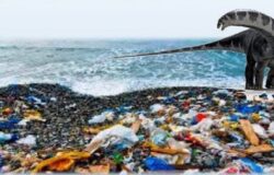 'Vallo a dire ai brontosauri', spiaggia, Campomarino