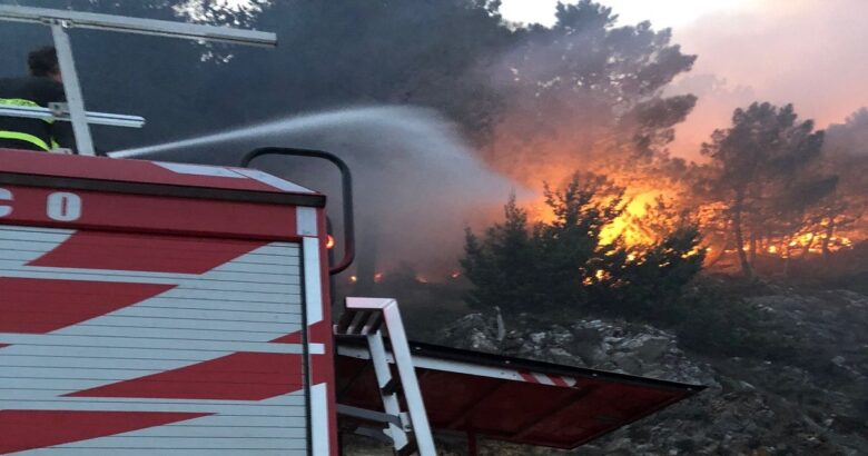 Vasto incendio, bosco, Cerro al Volturno, Vigili del Fuoco,