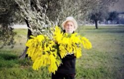 donne, Pace, Pietro Pensato