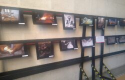 Campobasso, Palazzo San Giorgio, esposizione, opere, contest fotografico, “Molistantanee”