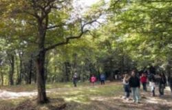 Campobasso, giornata ecologica, area naturalistica, Bosco Faiete