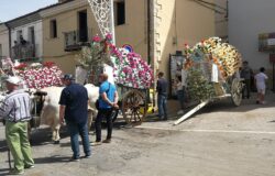 San Pardo, Larino, Carrese