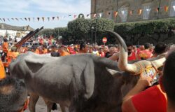 Carrese, Portocannone,