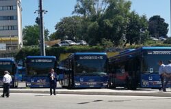 TRASPORTI, Molise, autobus