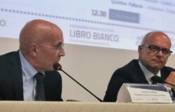 PROGRAMMAZIONE, Camera di commercio, Toma