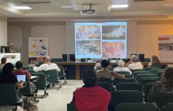 neurologia, psicoterapia, arte, cure, Summer school Neuromed