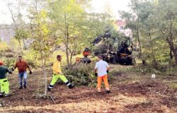 Colle dell'Orso, Campobasso, riqualificazione ambientale, Simone Cretella