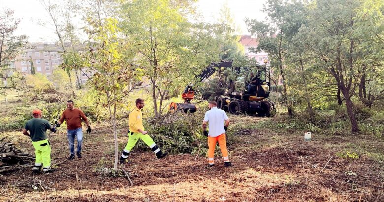 Colle dell'Orso, Campobasso, riqualificazione ambientale, Simone Cretella