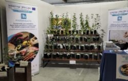 fiera, salute, benessere, agricoltura, sicurezza alimentare, Larino