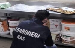 Natale più sicuro, NAS,