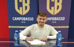 CALCIO, Cascione, Pineto, Campobasso