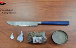 Droga, spaccio, arrestato